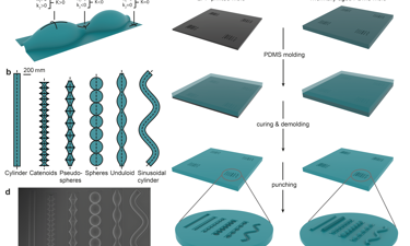 Overview Of Geometries And Curvatures