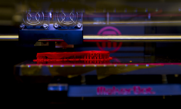 4498 Mtw Beeldred. 3Dprinting 02 December 2015