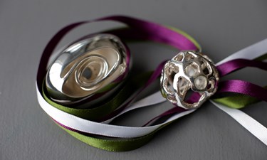Engineering And Physical Sciences Brooch And Pendant