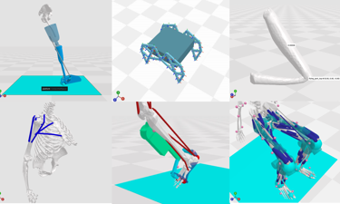OSC Collageofmodels